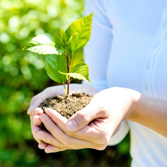 Ethos and environmental policy